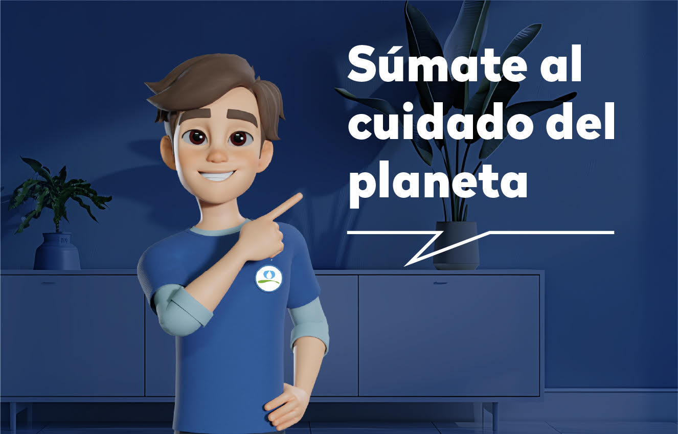 Renuncia a la boleta en papel